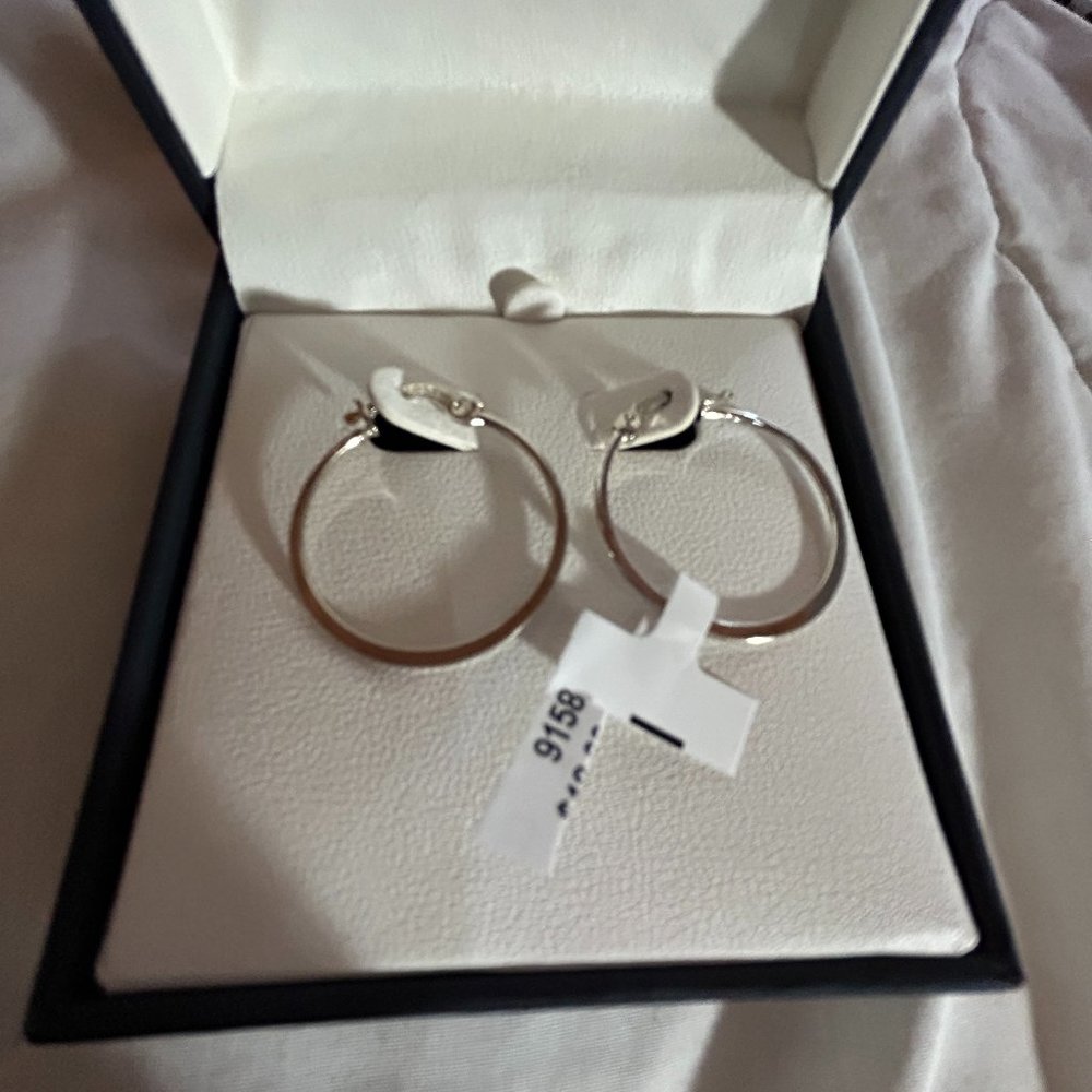 Sterling Silver earrings